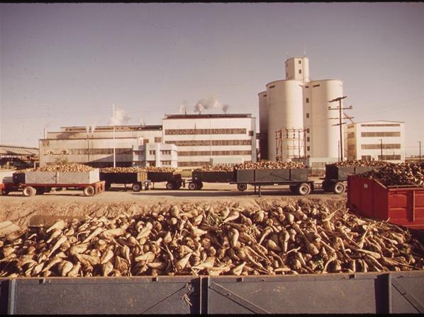 Şeker Fabrikaları